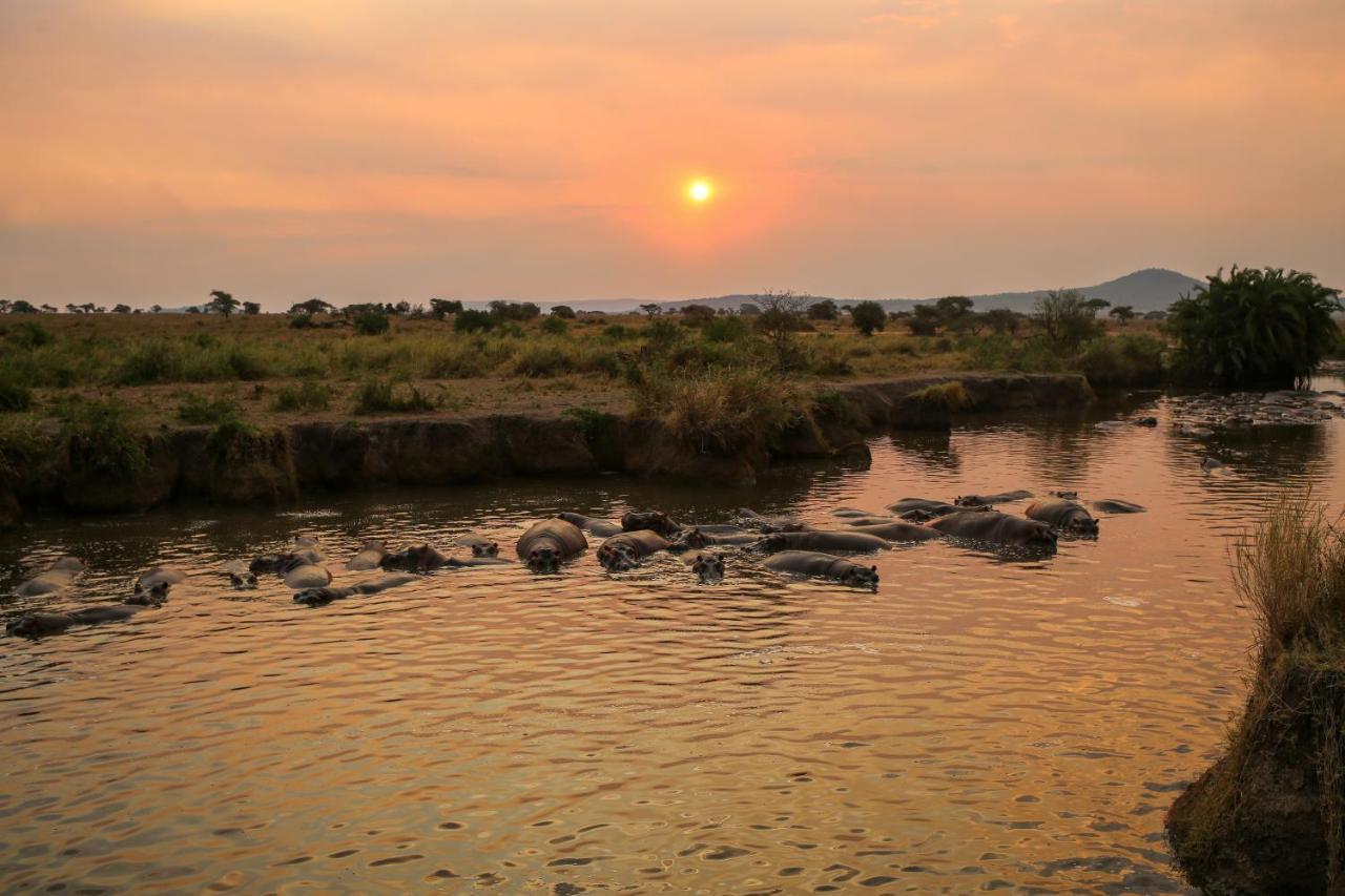 Osero Serengeti Luxury Tented Camp Banagi Luaran gambar