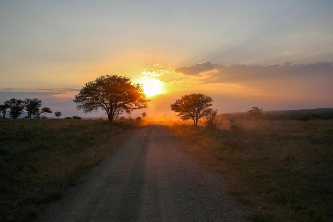 Osero Serengeti Luxury Tented Camp Banagi Luaran gambar